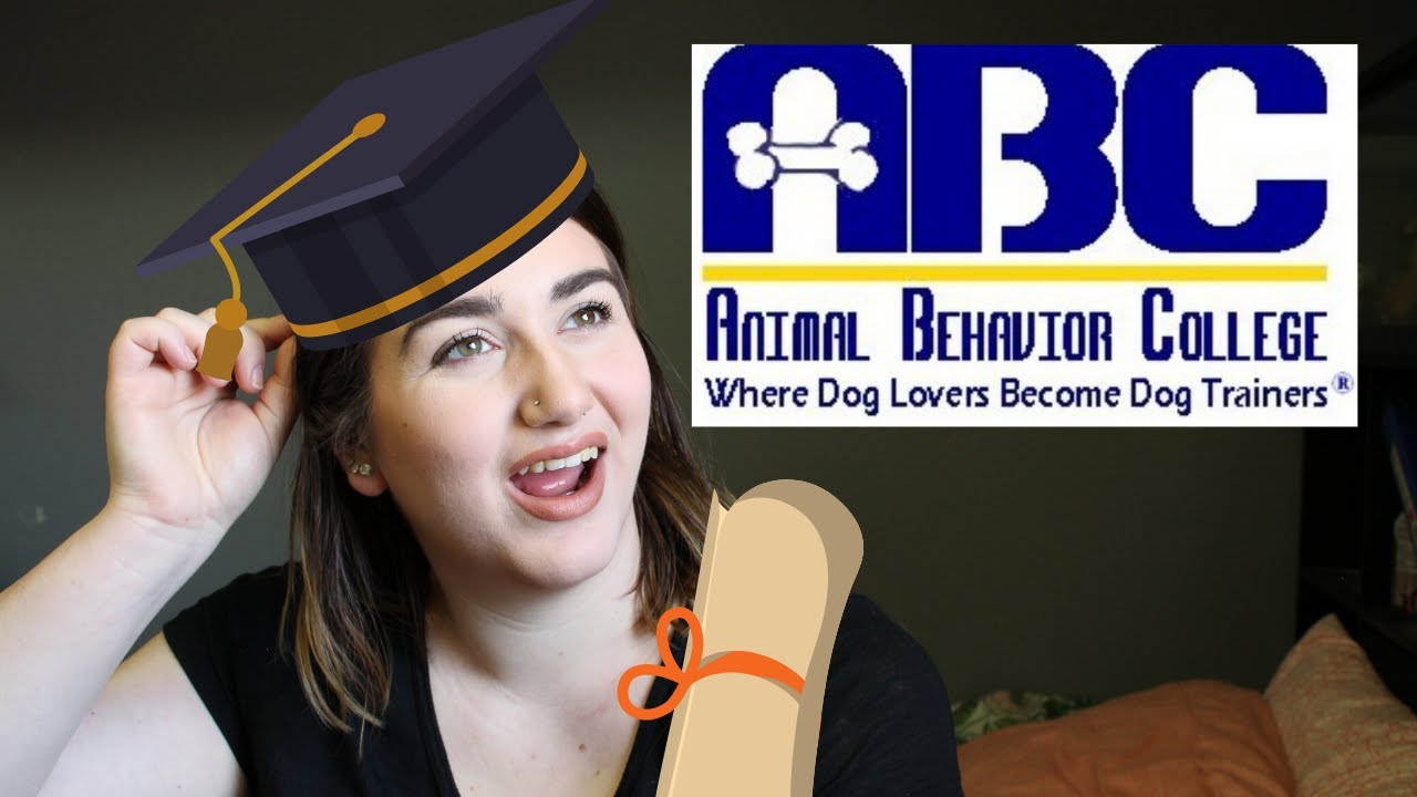 Answering Your Animal Behavior College Questions As A Graduate