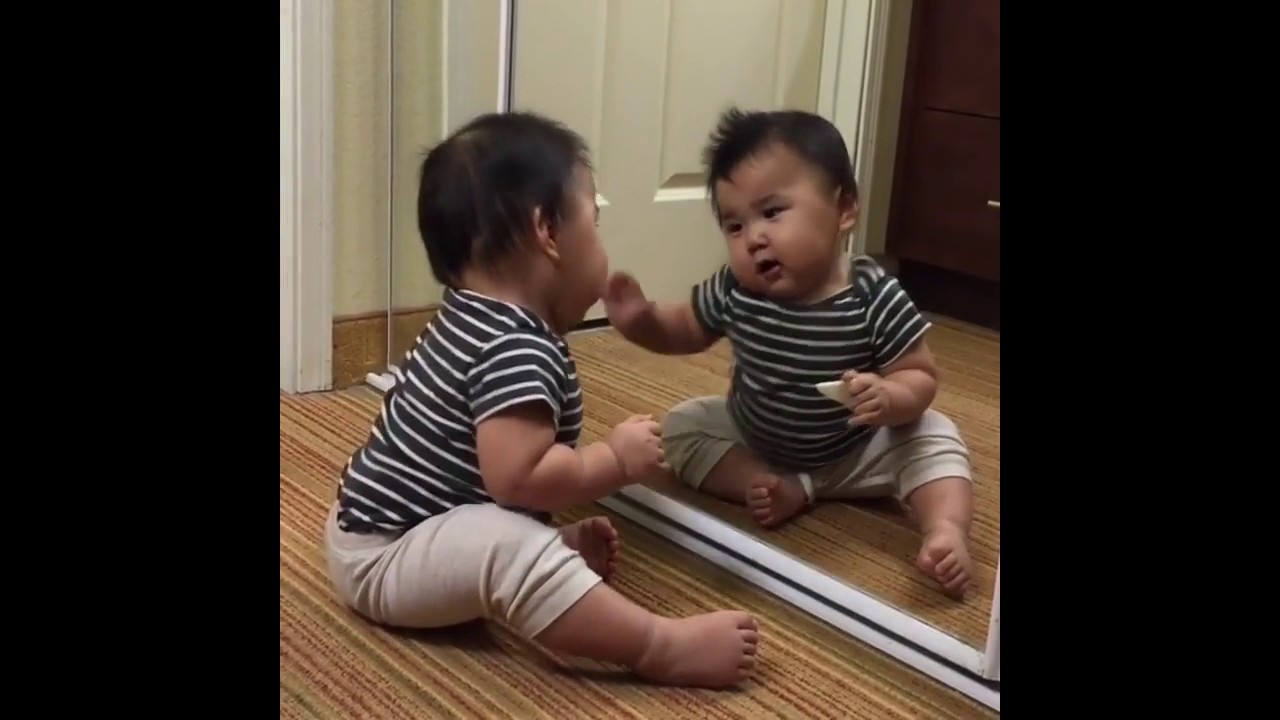 Babies see mirror for the first time compilation