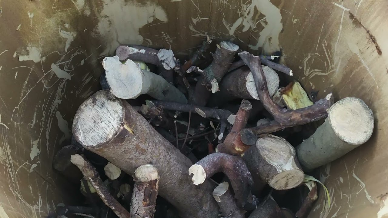 Elaboración de Carbón Vegetal.(Biochar / biocarbón)