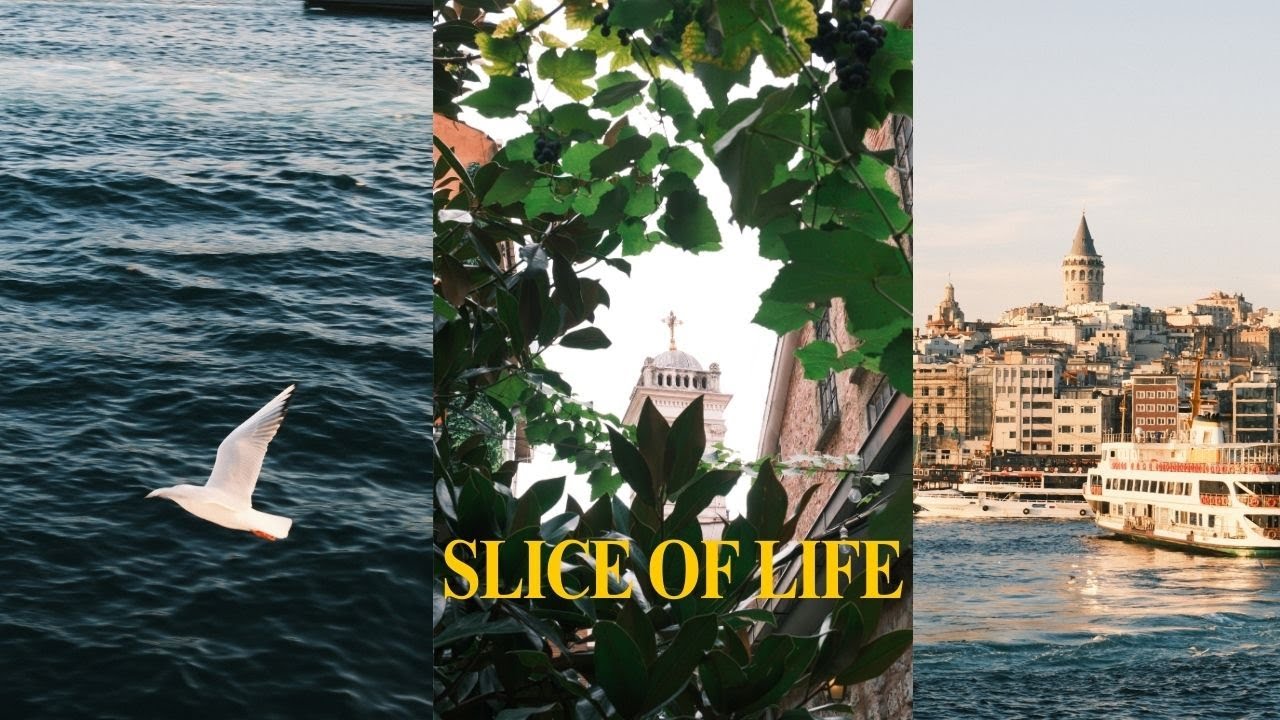 slice of life  |  photowalk, daily life