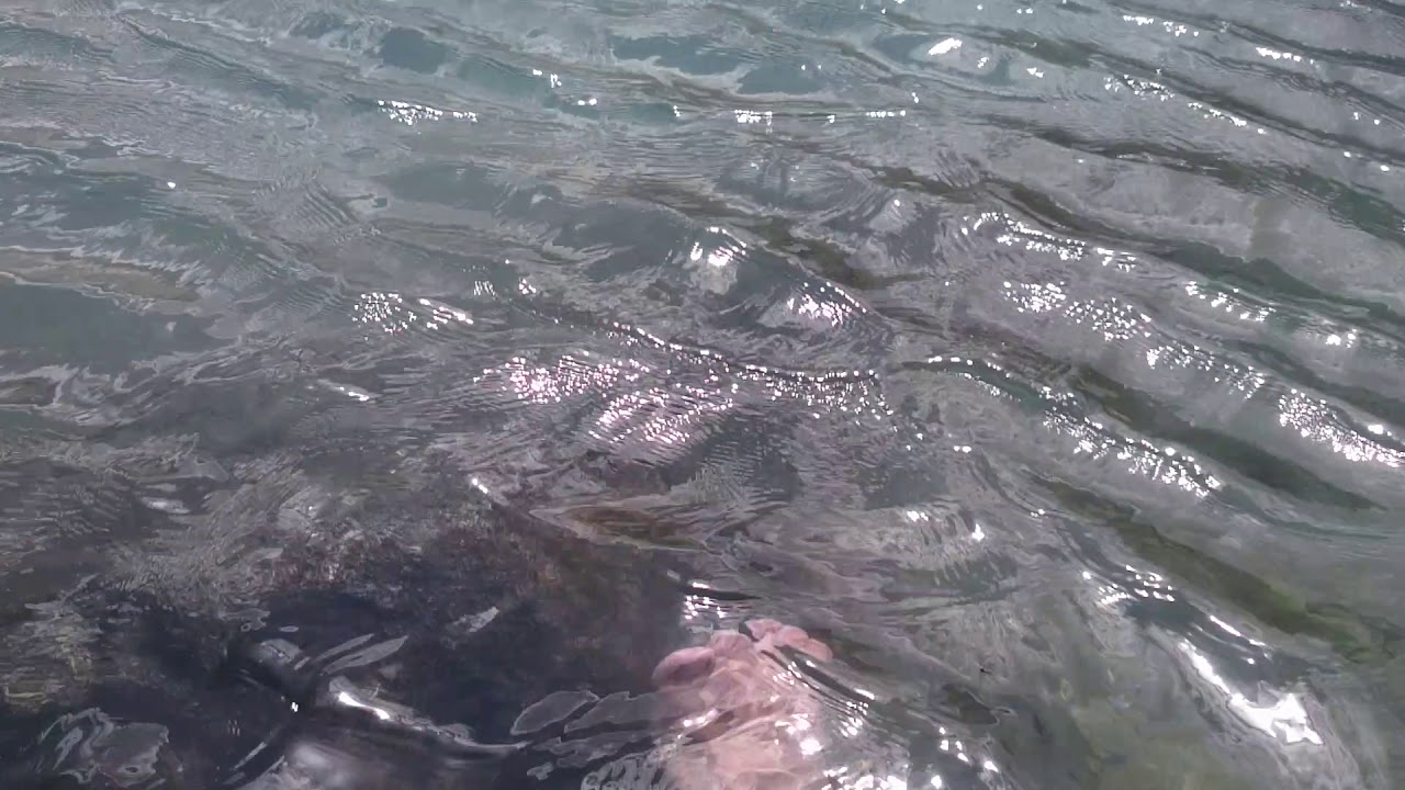 Katora Jheel