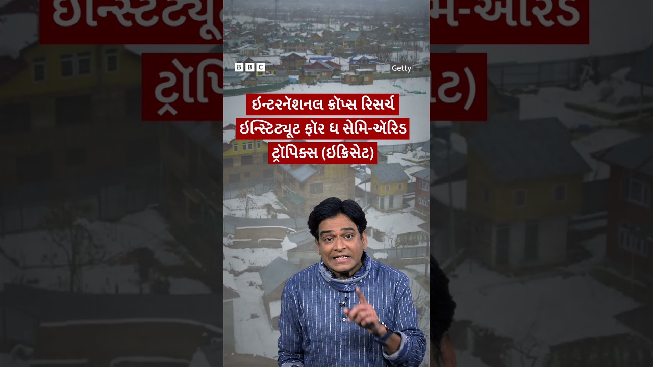 આ સંશોધનથી તુવેરદાળ હવે સસ્તી થશે?