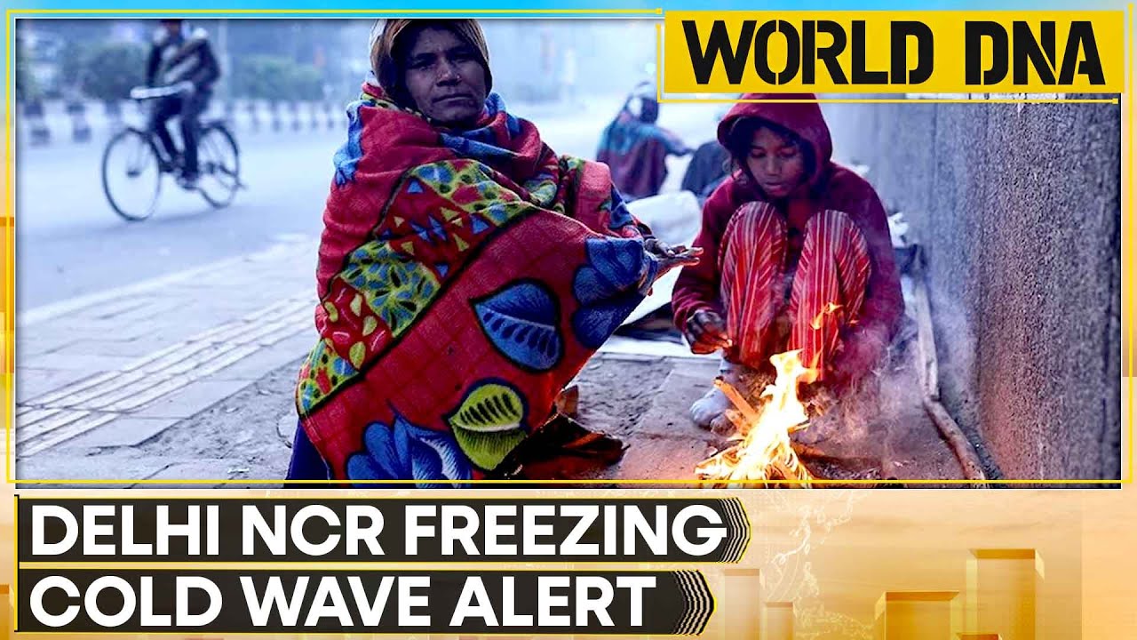 India: Cold Wave Grips Delhi Noida And Gurugram As IMD Issues Yellow Alert | WION