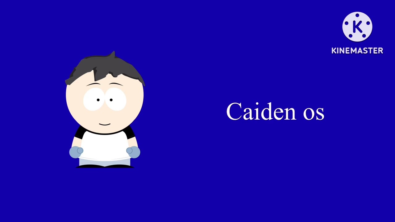 Caiden os anti privacy screen ￼