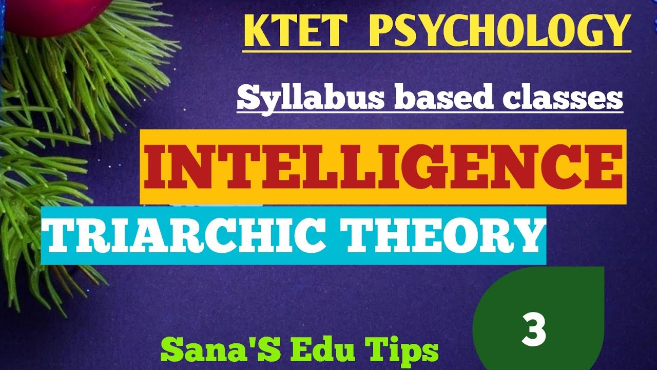 #KTET Psychology syllabus based classes#Triarchic Theory of Intelligence#Sana'S Edu Tips