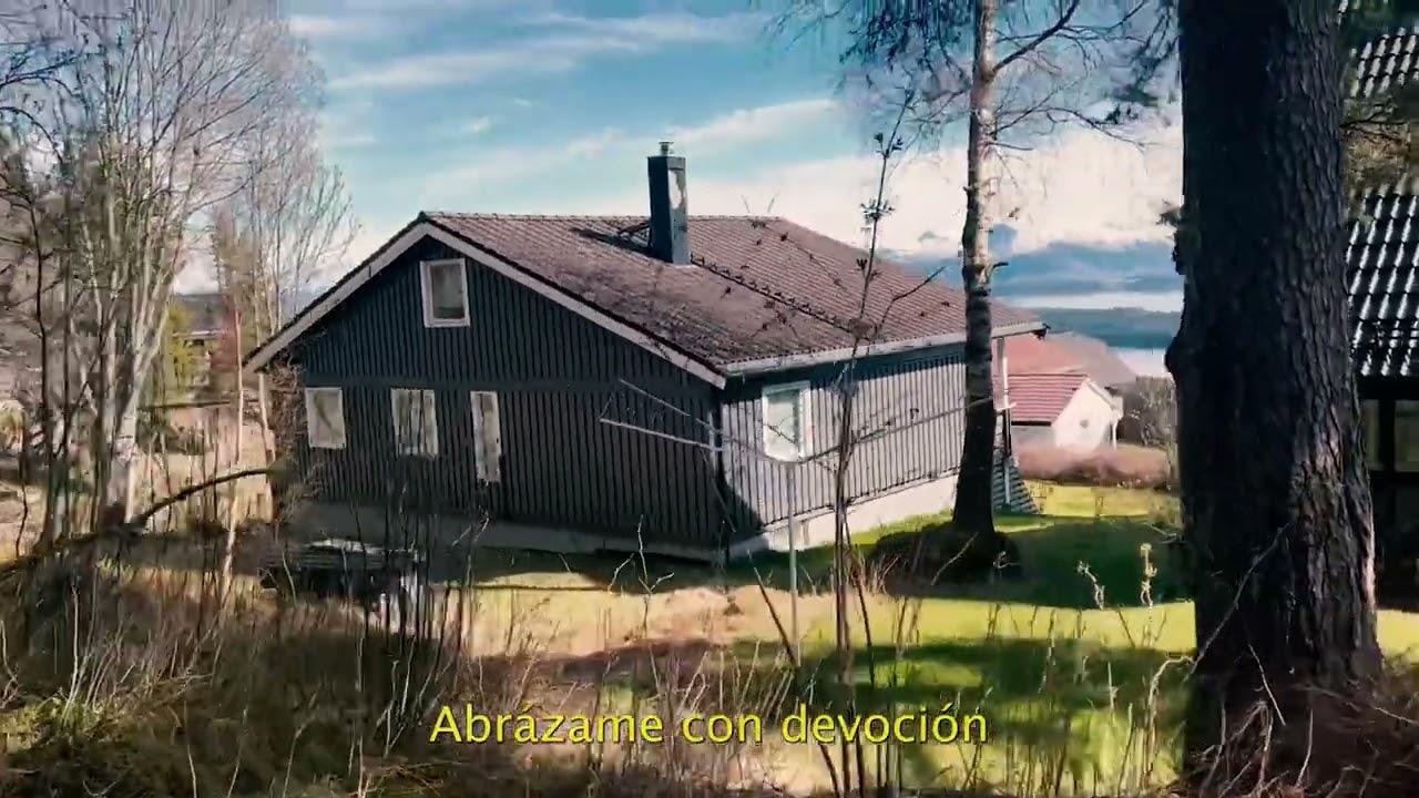 La Habitación Roja - La Vida Fluyendo (Video Lyric)