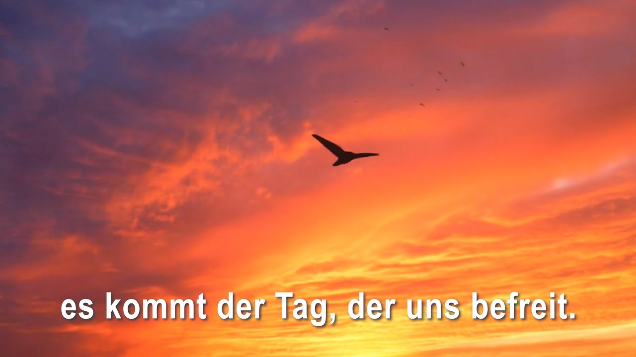 Mit dir Maria singen wir – Lieder zum Mitsingen