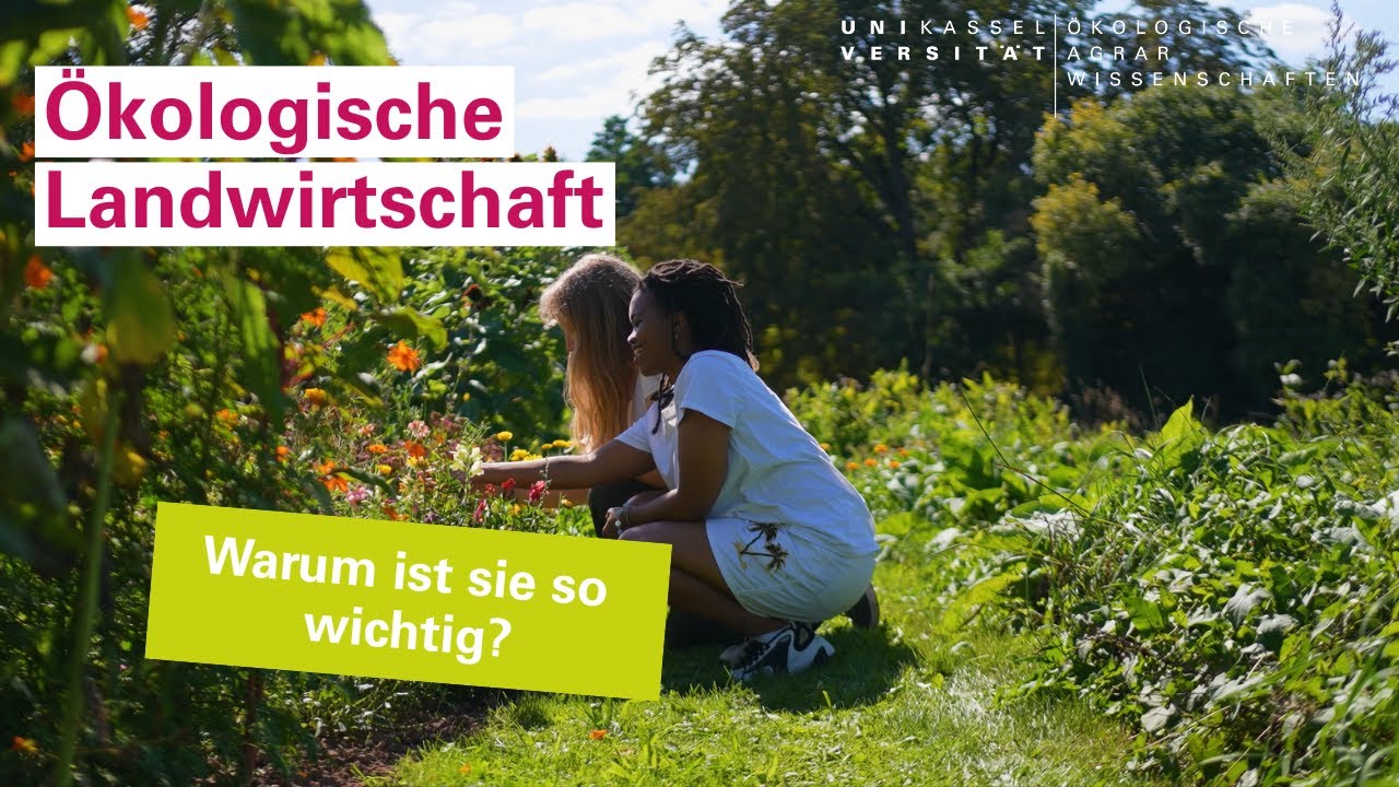 Warum ist ökologische Landwirtschaft wichtig? | Universität Kassel