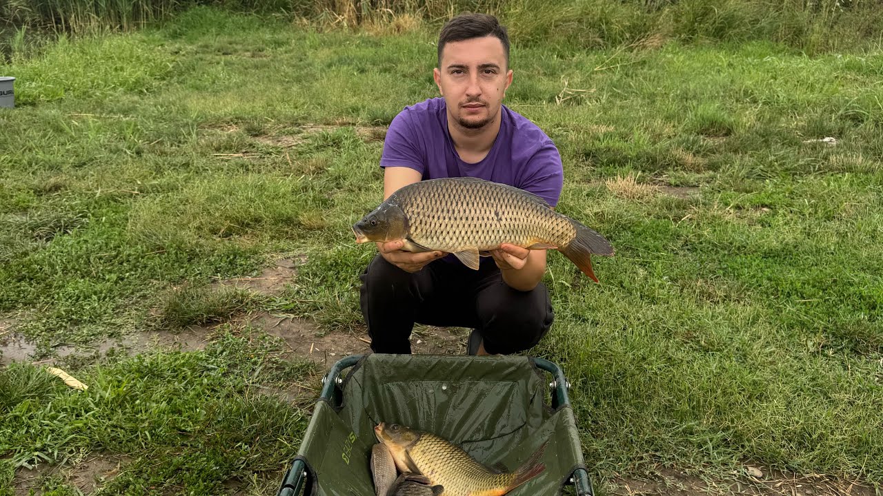 Pescuit la Method Feeder pe Balti cu Retinere in sezonul cald || Balta Sinesti 1 || AE BAITS BROWN 