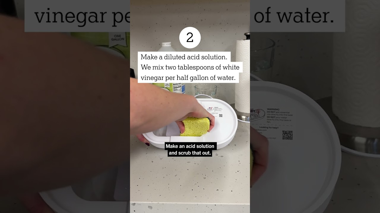 How to Clean a Humidifier #humidifier