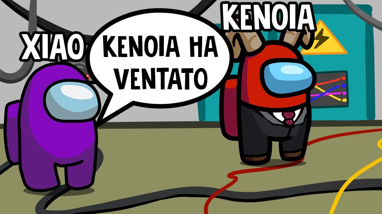 IL MIO 