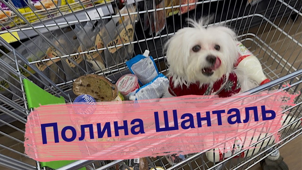 ГОТОВИМСЯ К МАСЛЕНИЦЕ!#рекомендации#продукты#праздник#питомцы#мололость#красота#психология#зож#пп