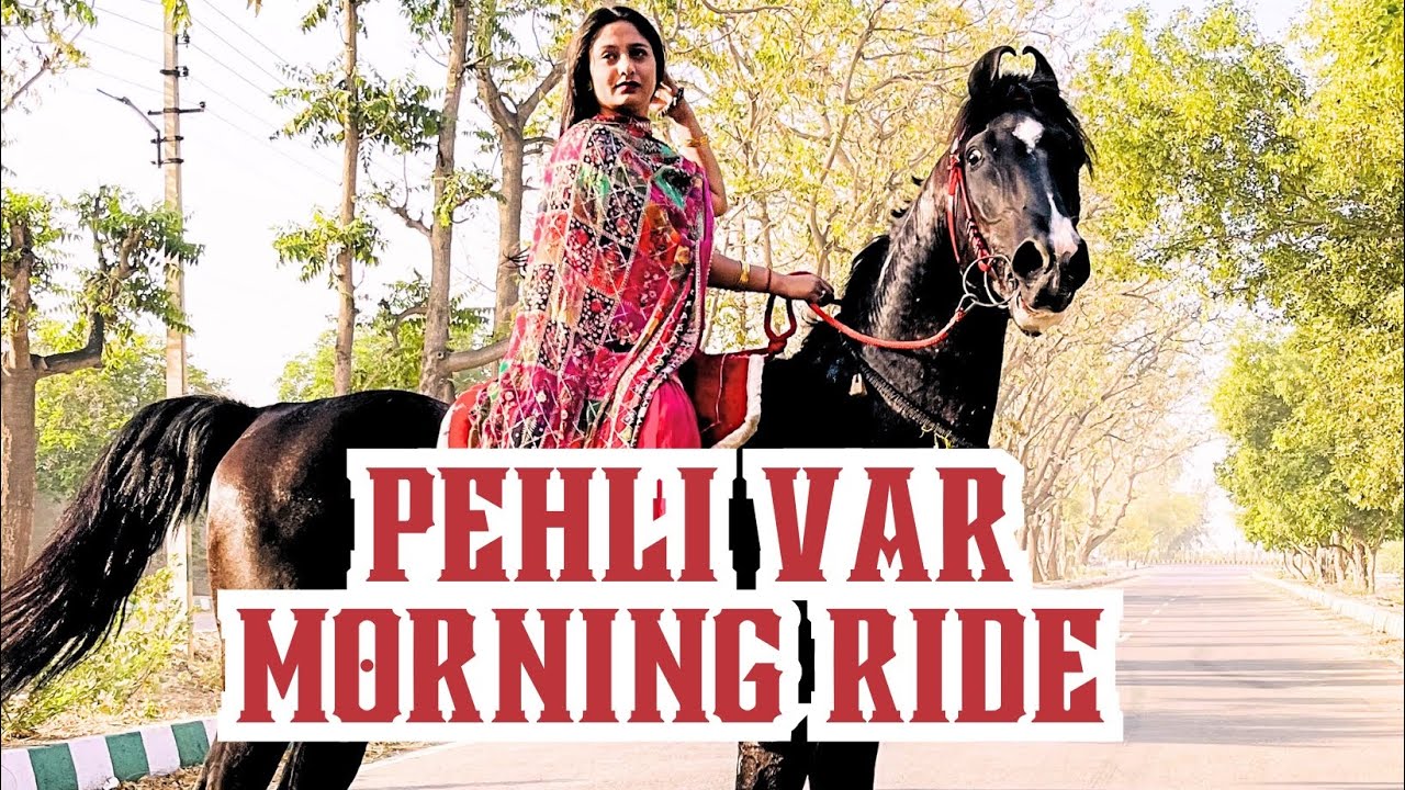 Early morning horse riding || Marwari horse ride || ghudsawari || ghode Ala joda || horse riding