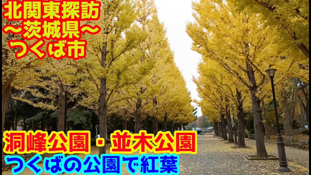北関東探訪　つくば市の紅葉　洞峰公園・並木公園　～茨城県つくば市を行く～