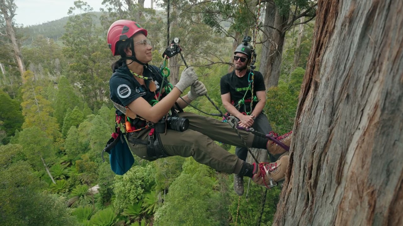 Preview-- Islands in the Sky: The Last Giants of Tasmania
