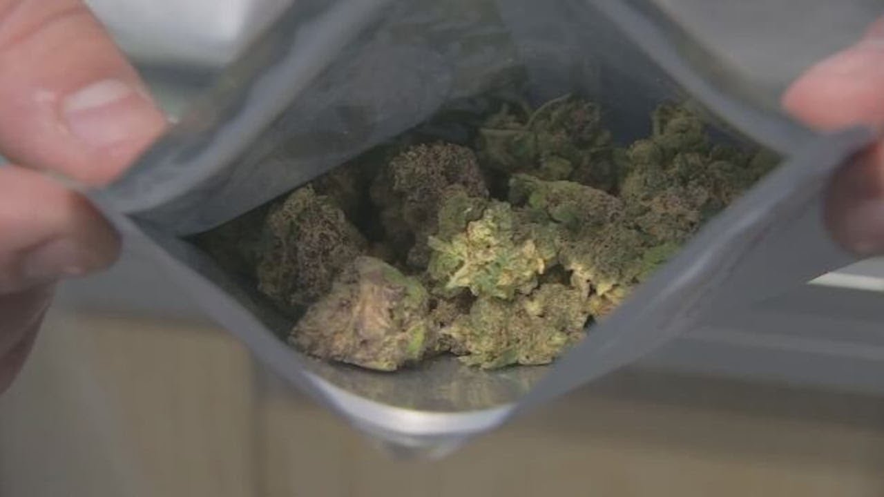 &ldquo;Pot for pot:&rdquo; Michigan cannabis shops react to 24% wholesale tax on Marijuana
