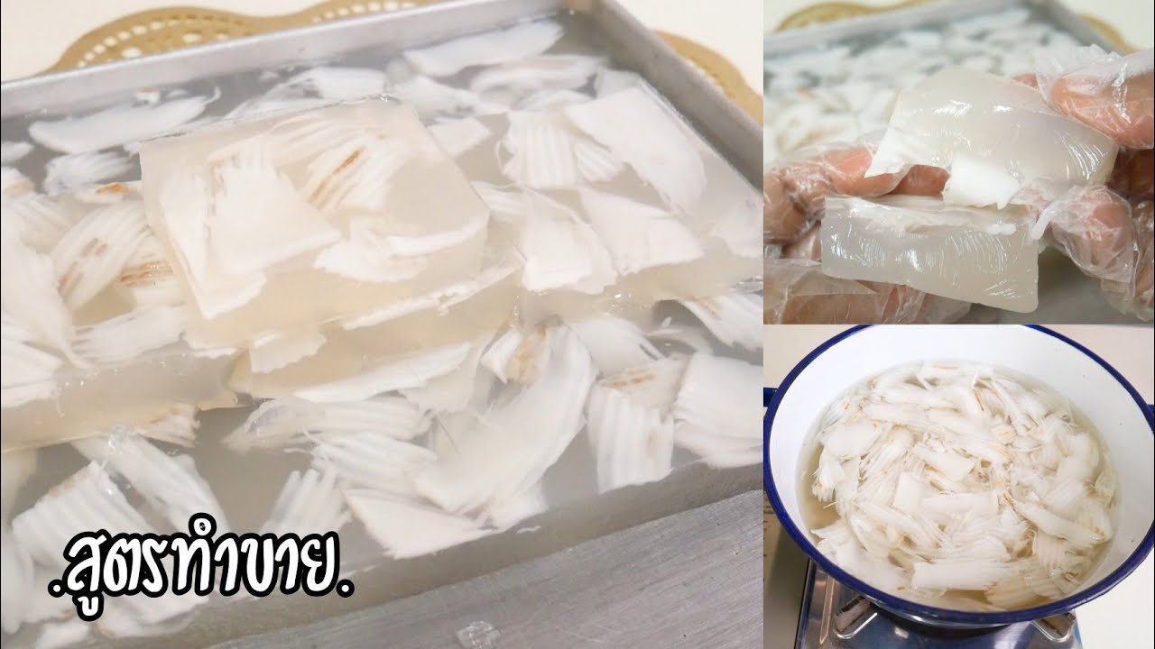 แจกสูตร! วุ้นมะพร้าวน้ำหอม สูตรทำขายวุ้นไม่คายน้ำ Coconut Agar Jelly