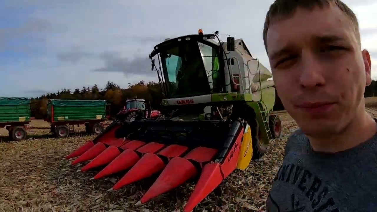 Zbiór kukurydzy na ziarno 2021 | Czym kosimy? | Vlog po dłuższej przerwie