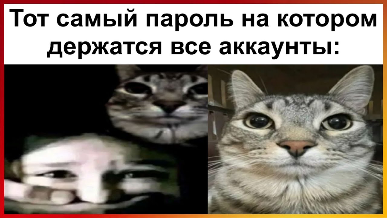Тикток стал паролем | Подборка мемов