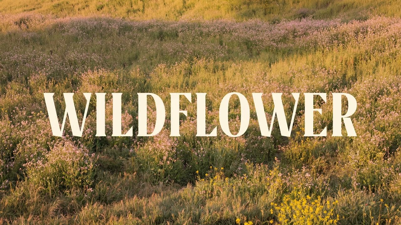 WILDFLOWER - Billie Eilish (Indie Folk Cover) | The Otherdays Official Lyrics Video