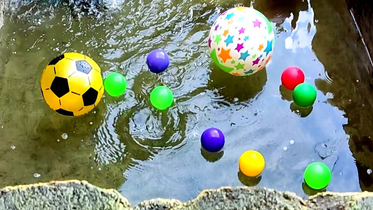 waw banyak bola di kolam ikan koi, bola warna, bola bintang, bola karakter, bola voly, @AYO GEMBIRA.