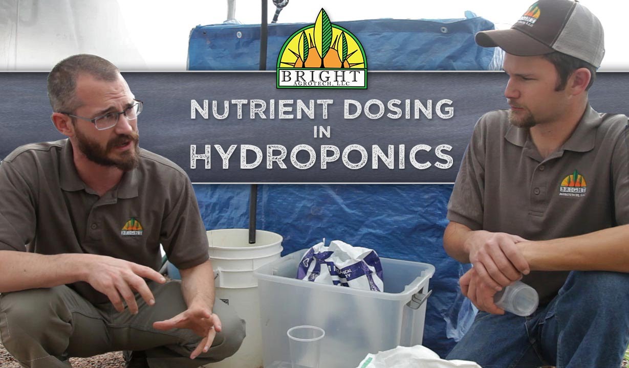 Nutrient Dosing in Hydroponics Systems