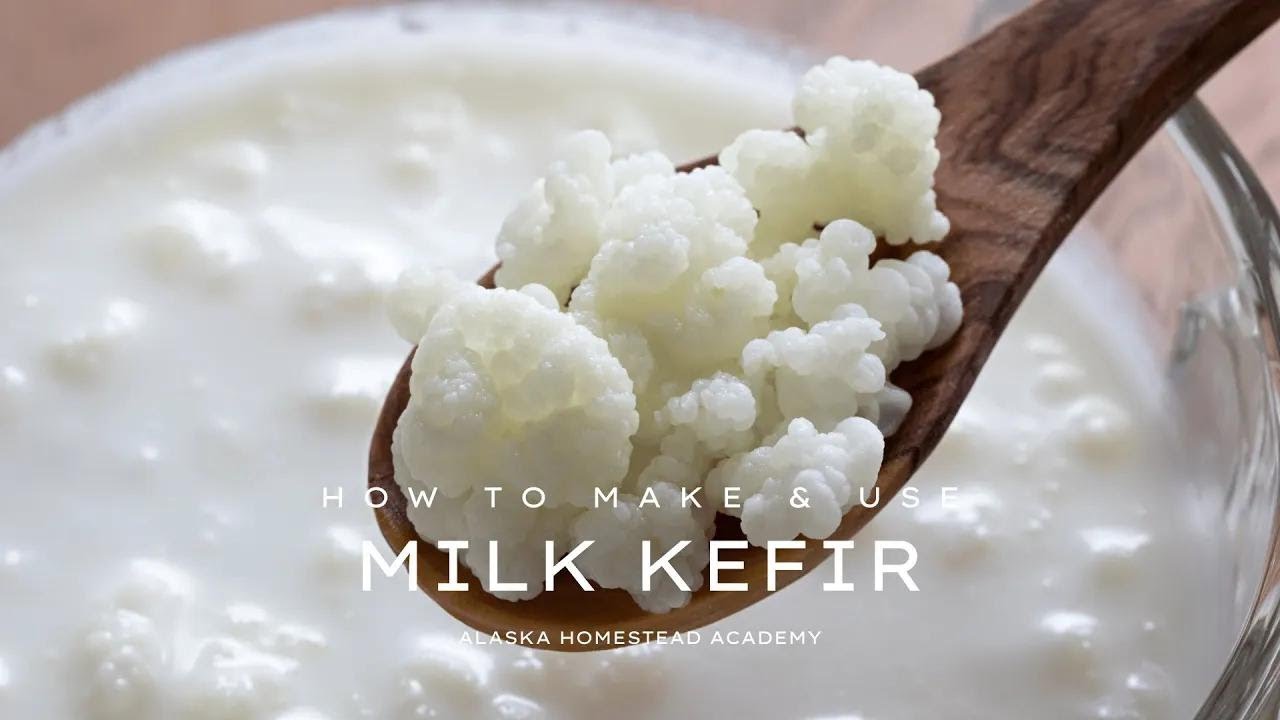 HOW TO MAKE & USE MILK KEFIR