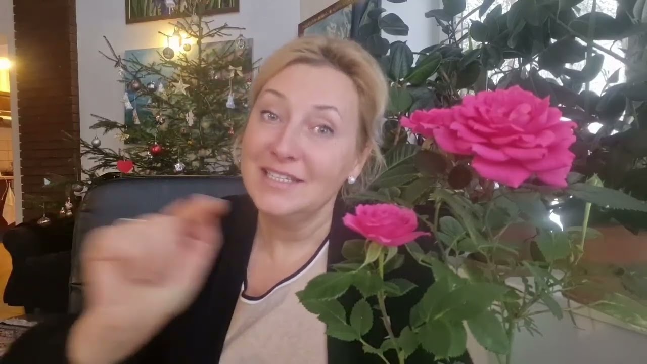 Посев томатов, самый лучший способ!!!!