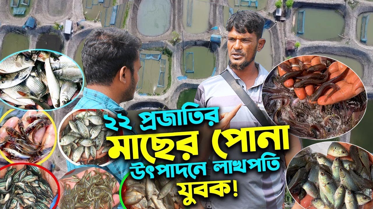 নিজস্ব হ্যাচারিতে ২২ প্রজাতির মাছের পোনা উৎপাদন করে লাখপতি তরুণ | উদ্যোক্তার খোঁজে