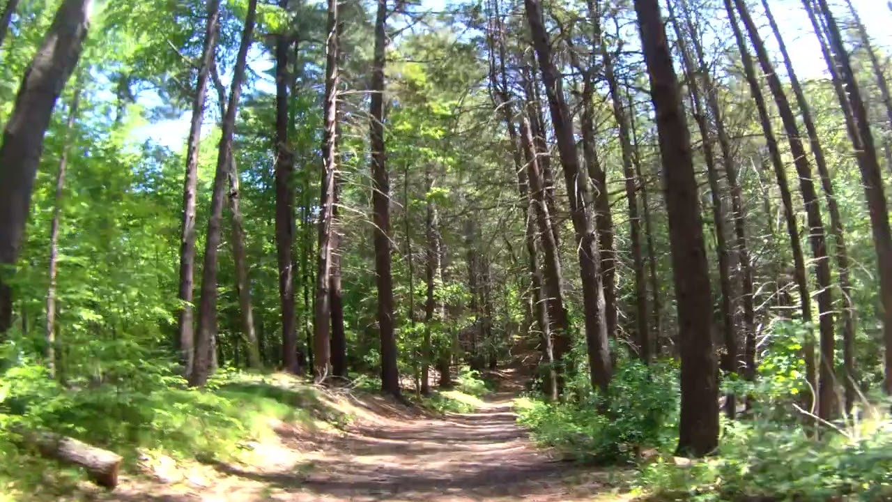 Cruising Maudslay State Park 28May23