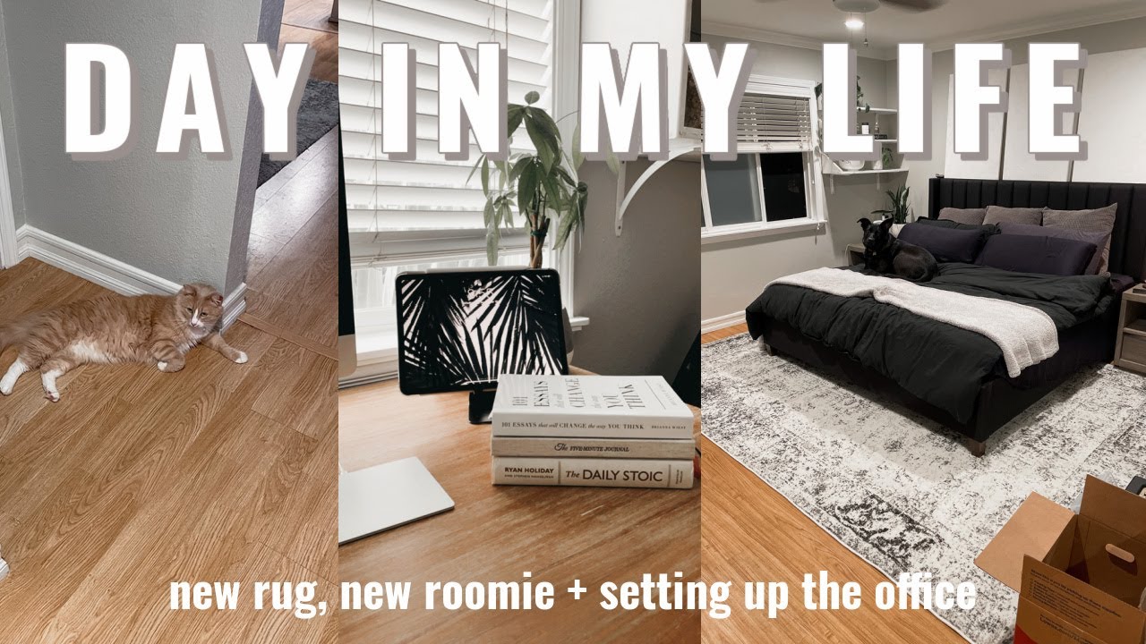 DAY IN MY LIFE: house updates, new rug arrives, setting up my office and our new roomie!