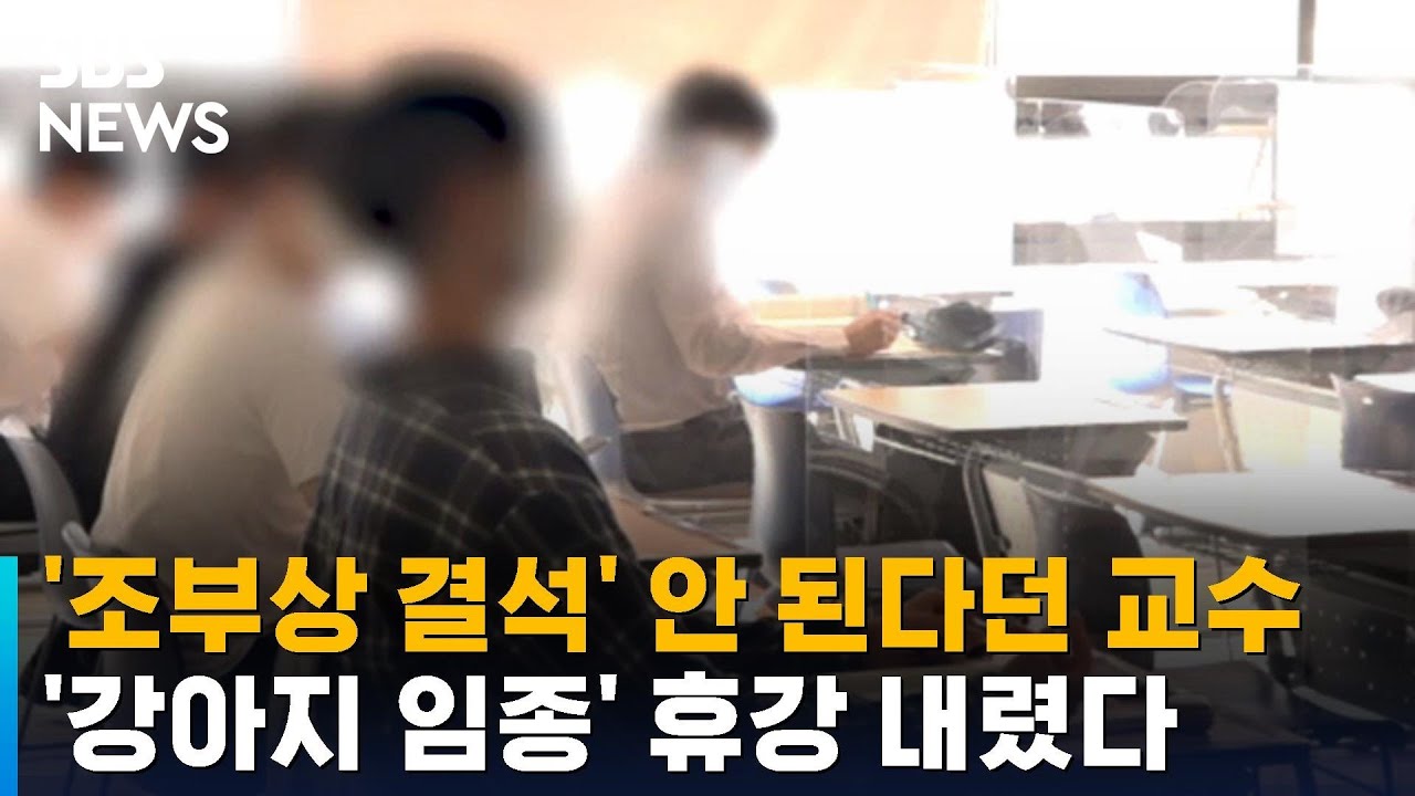'조부상 결석' 안 된다던 교수&hellip;'강아지 임종' 휴강 내렸다 / SBS / 오클릭