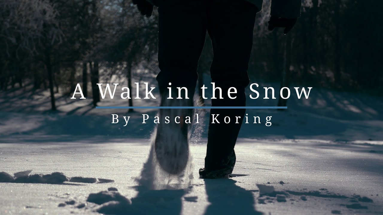 A Walk in the Snow