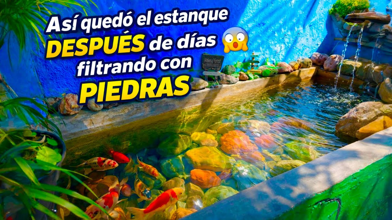 Las piedras hicieron ESTO al estanque