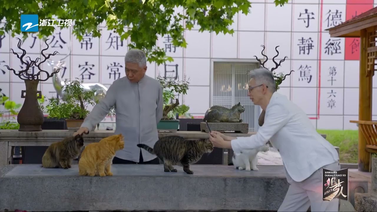 马未都养猫有多牛？给猫取名字盖别墅 慕了！《追梦人之无界人生》EP2花絮|浙江卫视纪录片