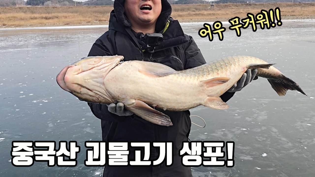 미스터리한 생태를 가진 중국산 괴물고기를 생포했습니다!