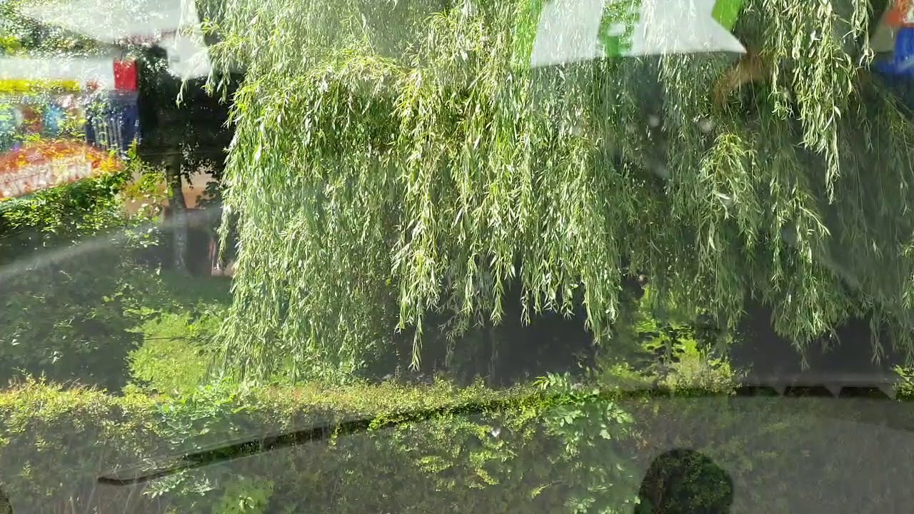 19.07.2020 12:21 (Łużycka 63, 11-040 Dobre Miasto,)