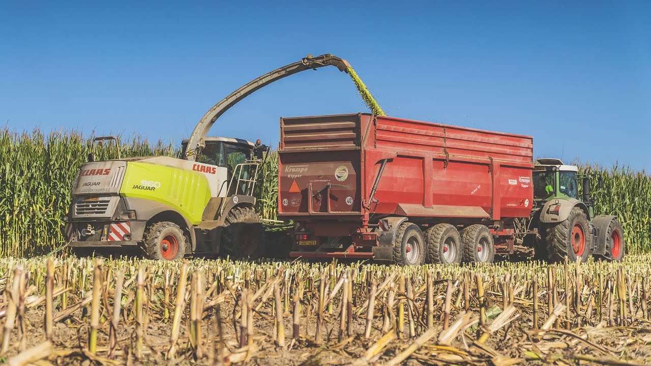 Siláže 2021 🌽  - Claas Jaguar 960 + Kemper 475plus, 3x Fendt + Krampe tridem, 2x Tatra Phoenix, 815