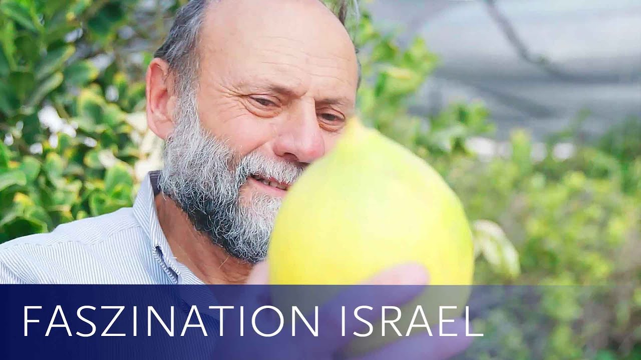 Karg ist der Negev, fruchtbar und grün - Teil 2