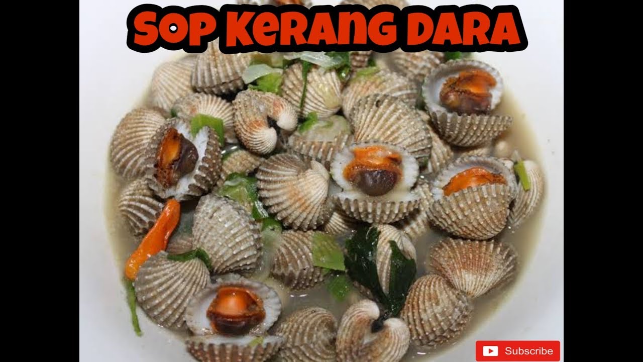 Resep Sop kerang dara Enak dan Gurih