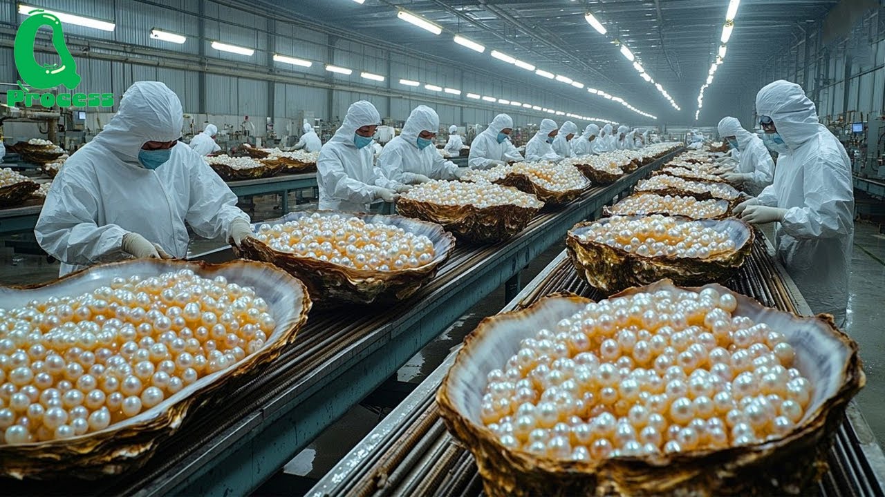 PEARL FARM | How the World&rsquo;s Most Beautiful Pearls Are Harvested and Processed