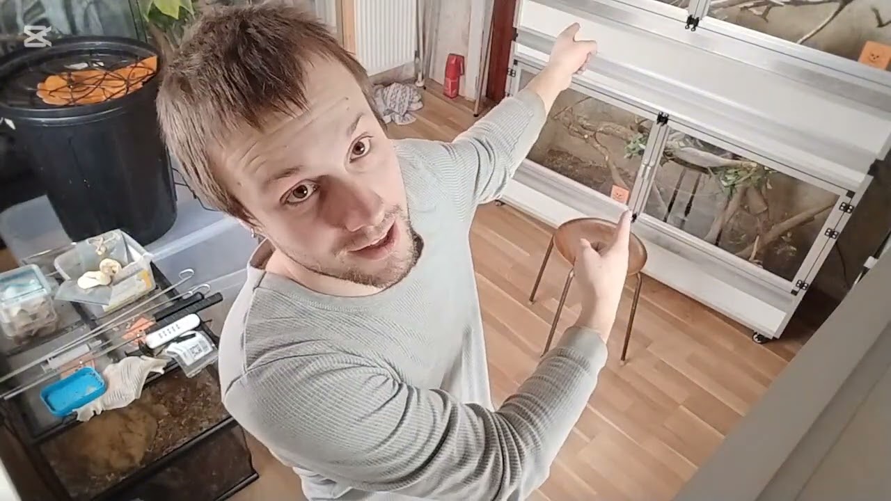 En dum ide som blev go