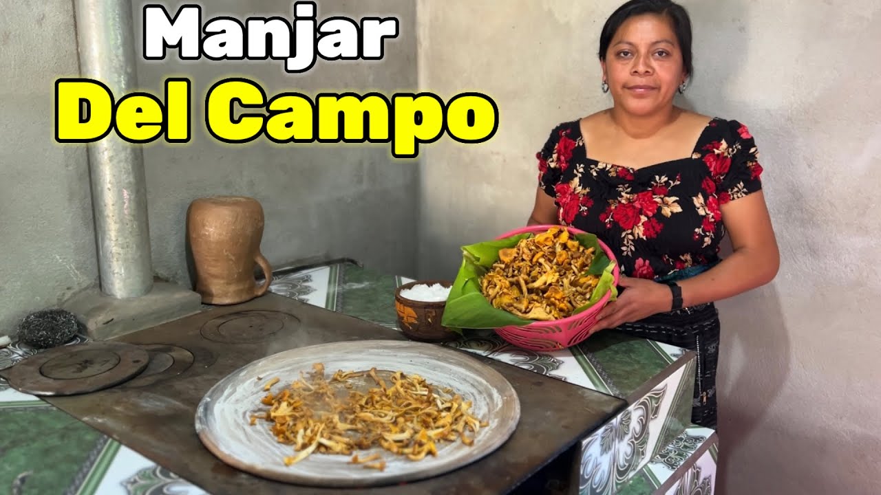 La Forma Más Fácil De Preparar Hongos de Campo