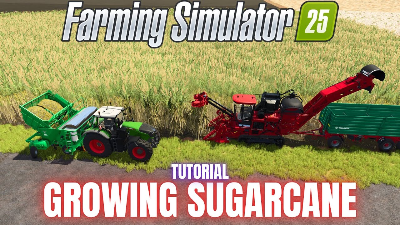 ВЫРАЩИВАНИЕ САХАРНОГО ТРОСТНИКА — РУКОВОДСТВО — Farming Simulator 25
