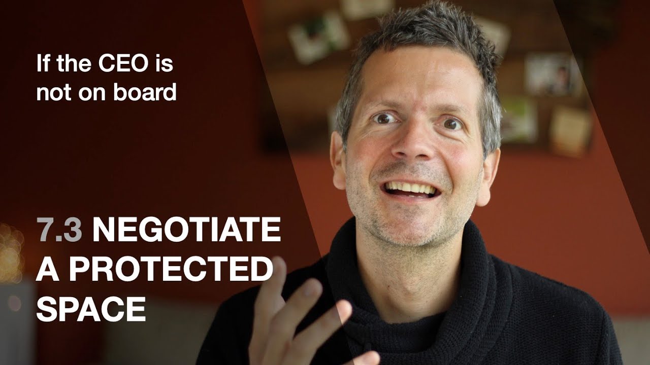 7.3 Negotiate a protected space (If the CEO is not on board)