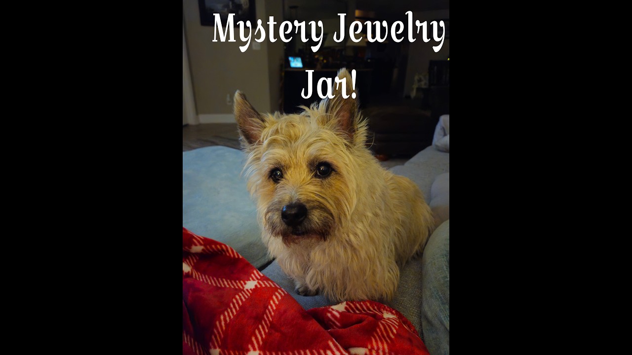 Mystery Jewelry Jar Unboxing!!!  #jewelryunboxing #jewelry