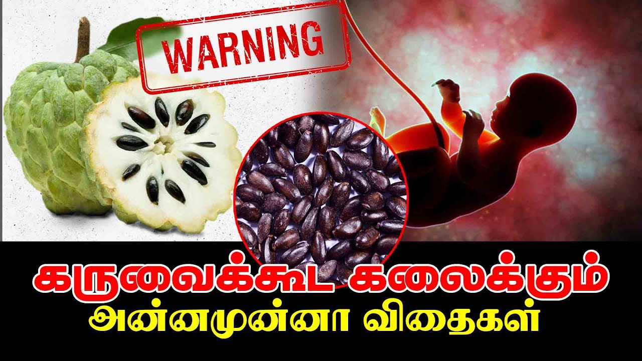 கருவைக்கூட கலைக்கும் அன்னமுன்னா விதைகள் | Annamunna | Custard Apple