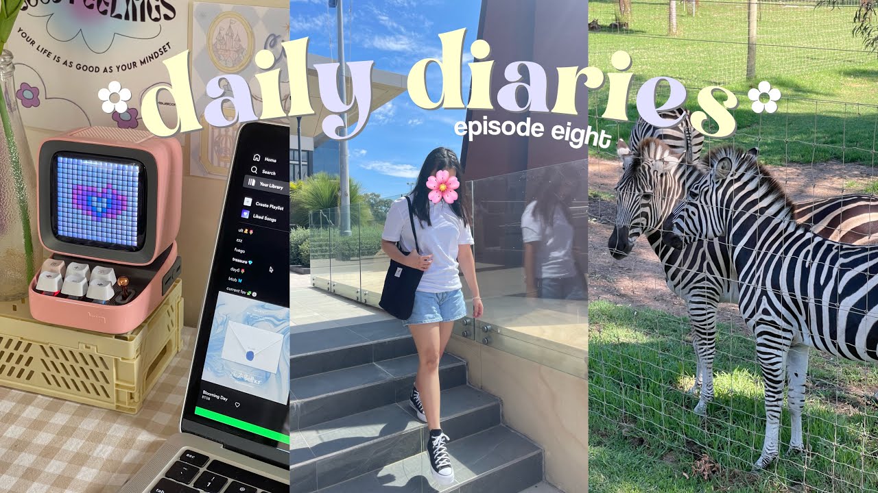 daily diaries ep.8 🍡 unboxing divoom ditoo, going to the zoo, what I eat, studying korean ft. italki
