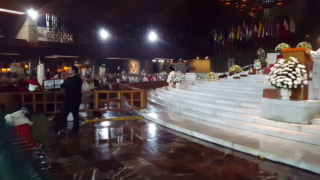 LAS PALMERAS BASÍLICA DE GUADALUPE