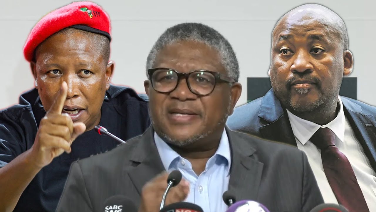 Fikile Mbalula Takes Swipe At Gayton McKenzie And Julius Malema 